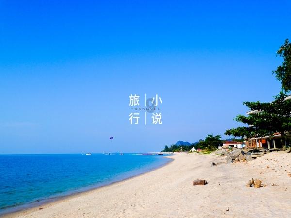动物记忆大翻牌